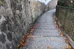 落葉が積もる石畳の坂道