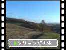 秋の美瑛・三愛の丘「朝の田園」