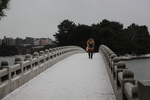 冬の大濠公園「観月橋と柳島」
