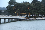 冬の大濠公園「観月橋と中の島」