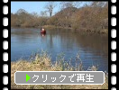秋の釧路湿原「釧路川のカヌー」