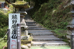 春の熊野磨崖仏への石段