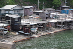 春の津軽半島「三厩漁港」