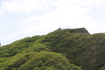ε鸫夲ε