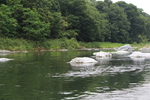 夏の「長瀞ライン下りの川景色」