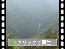 春・新緑期の蔵王「不動滝と霧の変化」