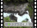 初夏の富士山麓「音止の滝」の「滝口と周辺」