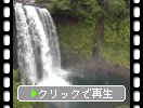 初夏の富士山麓「音止の滝」