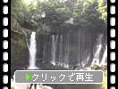 初夏の富士山麓「白糸の滝」