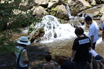岩からの湧水と渓流を楽しむ夏の家族