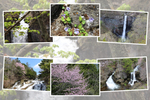 春の日光国立公園「華厳の滝・竜頭の滝」