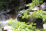 夏の昇仙峡「巨石群と緑の葉と実」