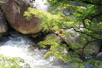 夏の昇仙峡「奇岩群の夢の松島」