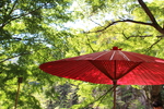 夏の昇仙峡「仙人茶屋の番傘」