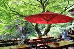 夏の昇仙峡「仙人茶屋の風情」