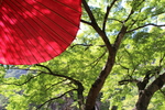 夏の昇仙峡「緑陰と赤い蛇の目傘」
