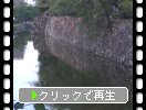 夏の信州・松本城「石垣と濠と動植物」