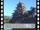 夏の信州「松本城の天守閣」朝景色