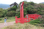 「元乃隅稲荷神社の鳥居」と「竜宮の潮吹き」の展望所