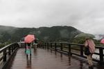 雨に濡れる錦帯橋と人々