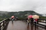 朝雨に濡れる錦帯橋