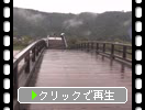 霧雨の錦帯橋