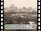 降雪期の福岡城址「大天守台から見た大濠公園方面」