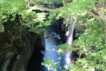 枝葉越しの真名井の滝