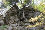 黄葉と岩壁