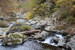 秋の巖立峡「渓流と流木」