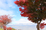 諏訪湖「湖畔の紅葉」