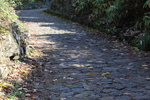 秋の旧中山道と落葉