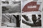 積雪期の福岡「桧原桜」
