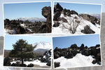 積雪期の浅間山麓「溶岩原と木々」