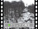 冬・風雪期「新穂高ロープウエイ上がりの景色」