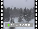 冬の新穂高ロープウエイ「吹雪の頂上駅周辺」