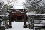 冬・積雪期の多久聖廟「仰高門と聖廟」