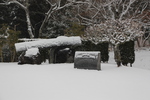 冬・積雪の多久聖廟「筑紫筝（”筑紫琴”）」