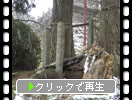冬の武雄神社「降雪と夫婦檜」