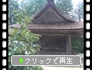 夏の平泉・中尊寺「白山神社の能楽殿」