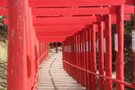 元乃隅稲荷神社の赤い鳥居群