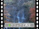 秋の五ヶ瀬「白滝」