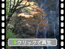 秋の五ヶ瀬「白滝と葉の彩り」