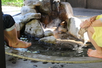 杖立温泉の足湯
