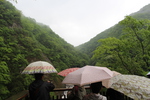 春雨下の「袋田の滝」の展望台