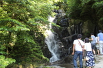 夏・緑葉期の「白糸の滝」