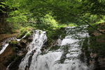 夏の由布「名水の滝」