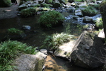 夏の「鍋ヶ滝」からの渓流