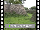 夏の大阪城「石垣と空堀」