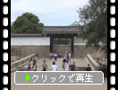 夏の大阪城「桜門と天守閣」